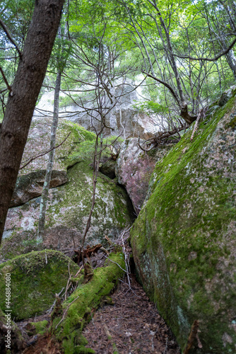 夏の瑞牆山の登山道の風景 A view of the trail in summer at Mt.Mizugakiyama.