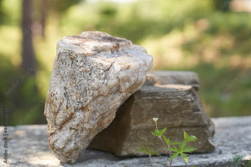 Stone on the background of green plants, the perfect podium for your product, natural background with textured pedestal. High quality photo Stone on the background of green plants, the perfect podium for your product, natural background with textured pedestal. High quality photo