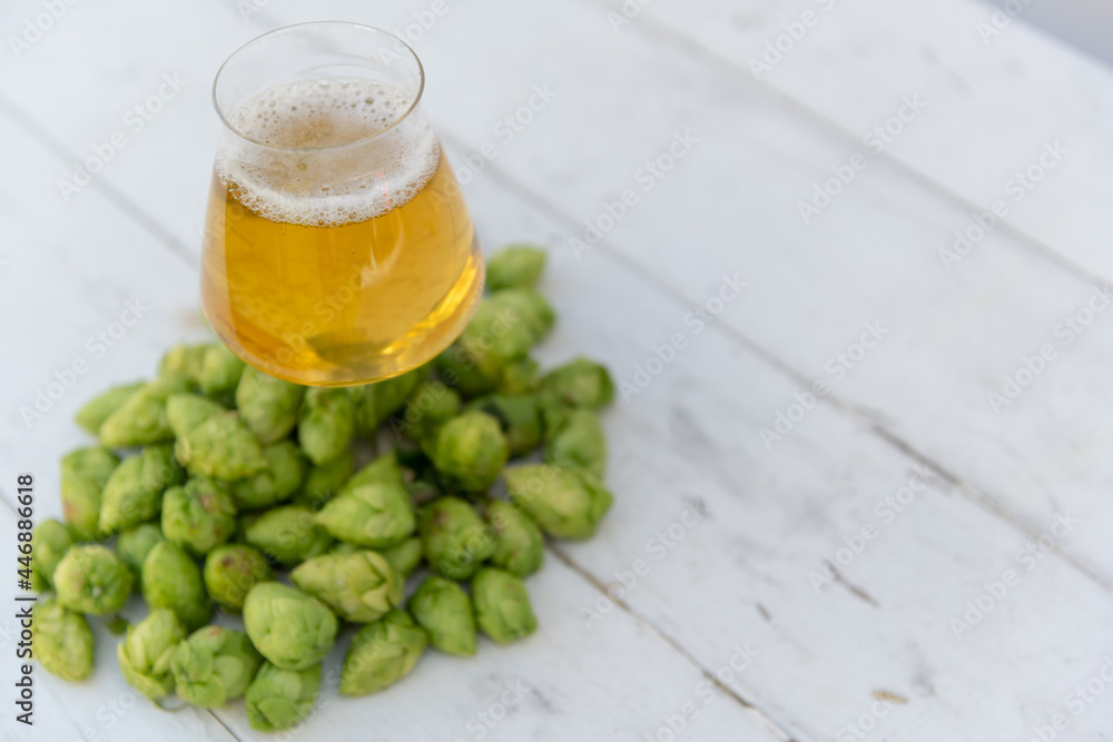 Hops & Beers, Fresh homegrown hops for brewing beer. Hops, Brews, Home