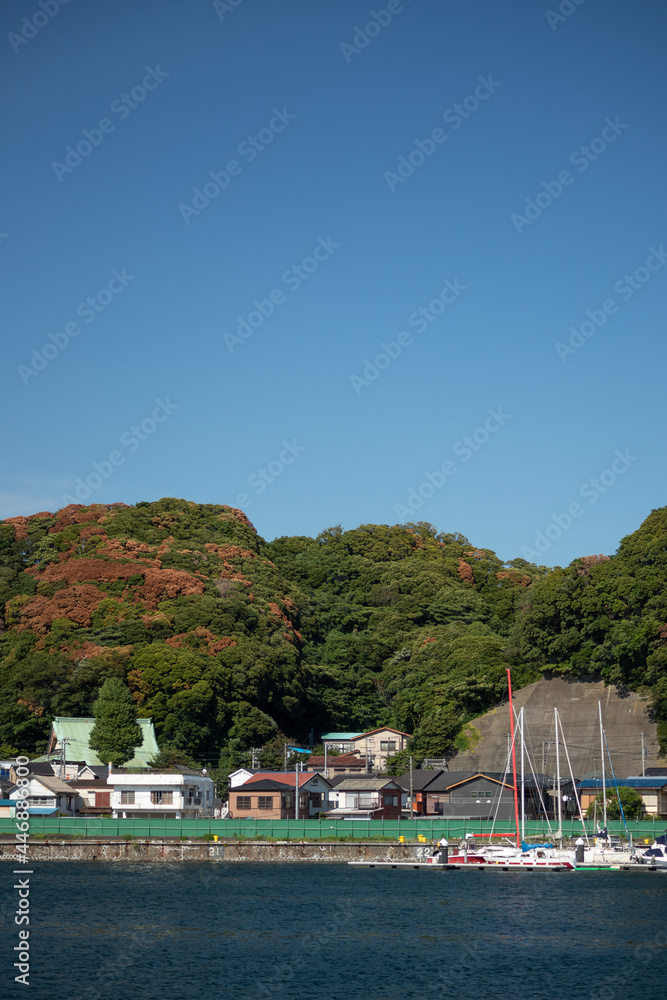 Obraz premium 海岸沿いの浦賀の街並み