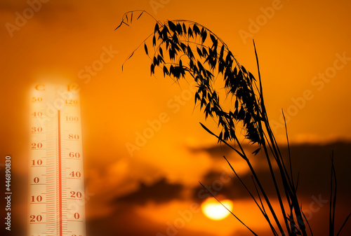 Obraz na plátne Composite imge depicting climate emergency and Global Warming