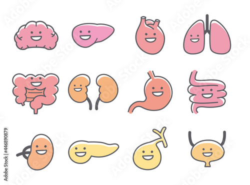 人間の内臓や臓器の笑顔のキャラクターアイコン