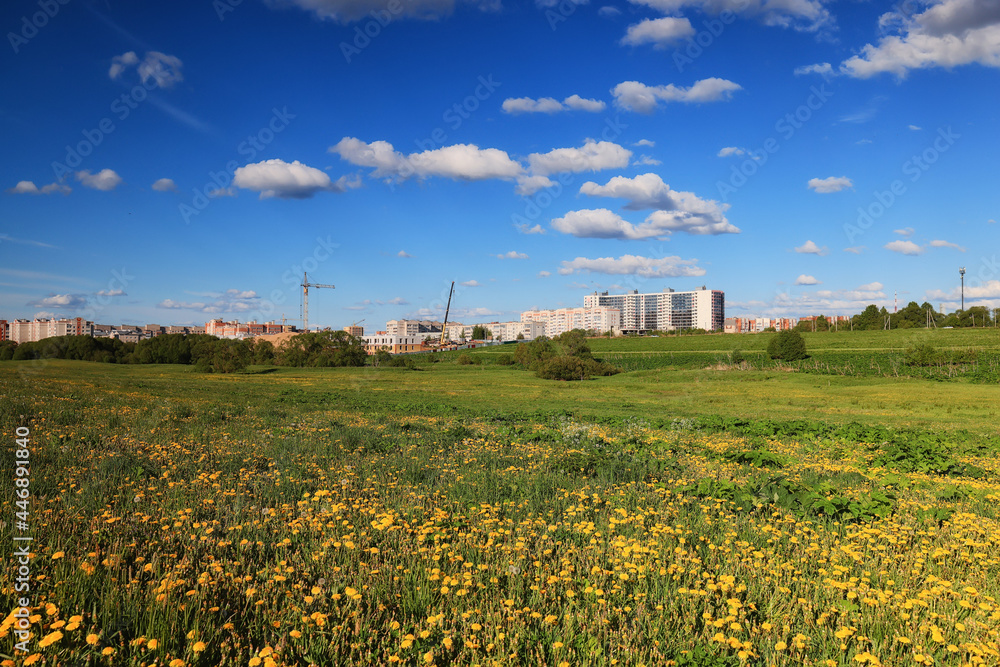 edge of the city background landscape summer field with yellow flowers dandelions on the background of houses