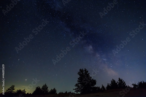 forest silhouette under starry sky with milky way, night outdoor scene