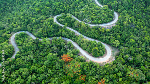 Beautiful winding road in forest lined with green and orange trees, Phetchaburi, Thailand.