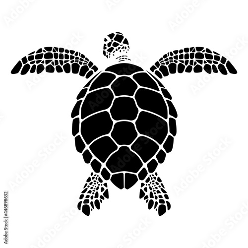 swimming sea turtle graphics, turtle back vector illustration, tortoiseshell structure illustration.