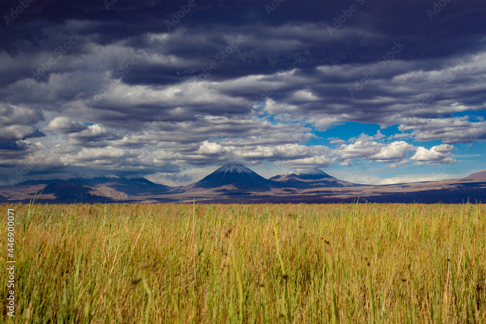 Wilde Graslandschaft mit Vulkan und dramatischem Himmel