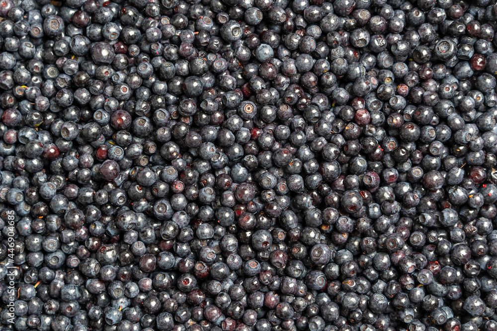 Surface covered with a layer of wild forest blueberry, close up Surface covered with a layer of wild forest blueberry, close up