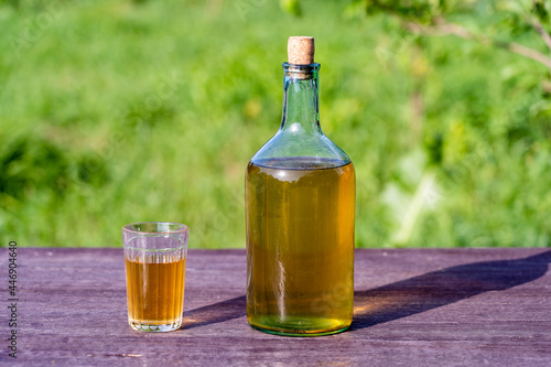 Homemade wine in a big glass bottle on nature background in garden