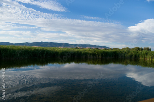 Paisaje de laguna con reflejos en verano.	