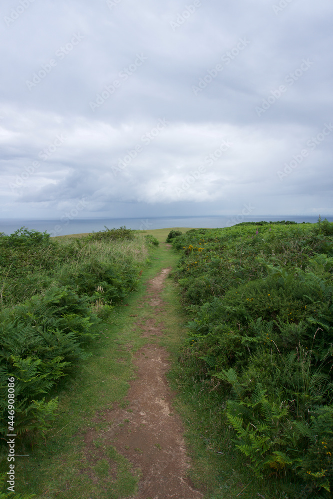 path in the field on hill top looking out to sea