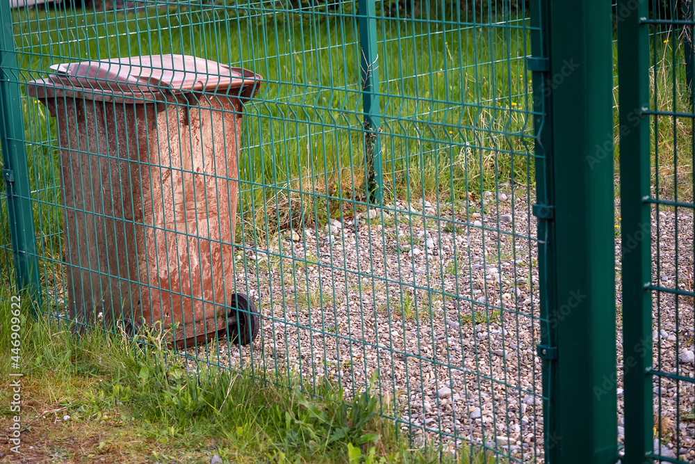 Old worn brown wheelie bin Stock Photo Adobe Stock
