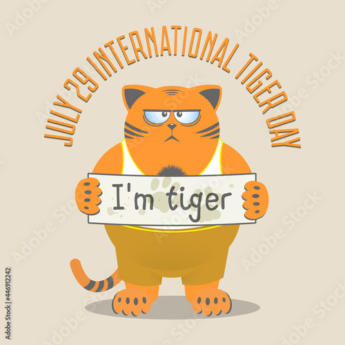 July 29 - International Day of the Tiger. Funny fat ginger displeased cat with a sign and the inscription I am tiger