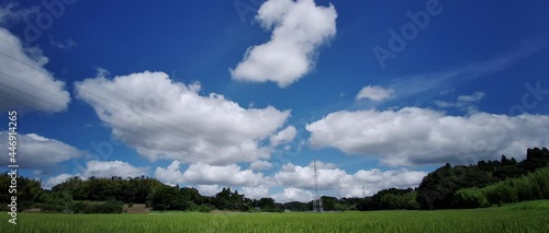 田舎の風景