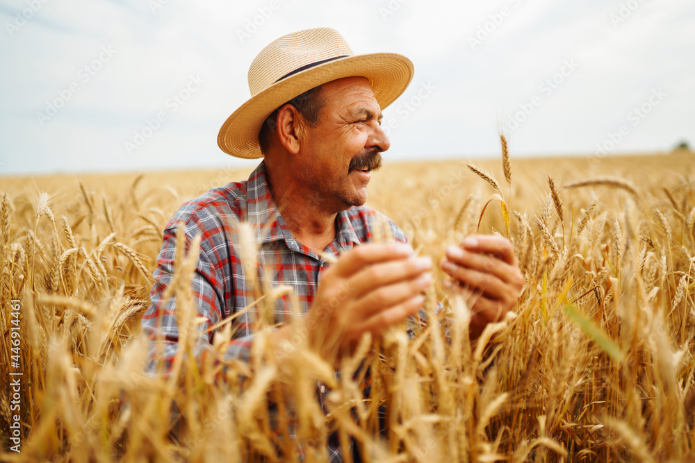 Young agronomist in grain field. Farmer in the straw hat standing in a  wheat field. Cereal farming. Growth nature harvest. Agriculture, gardening  or ecology concept. foto de Stock | Adobe Stock