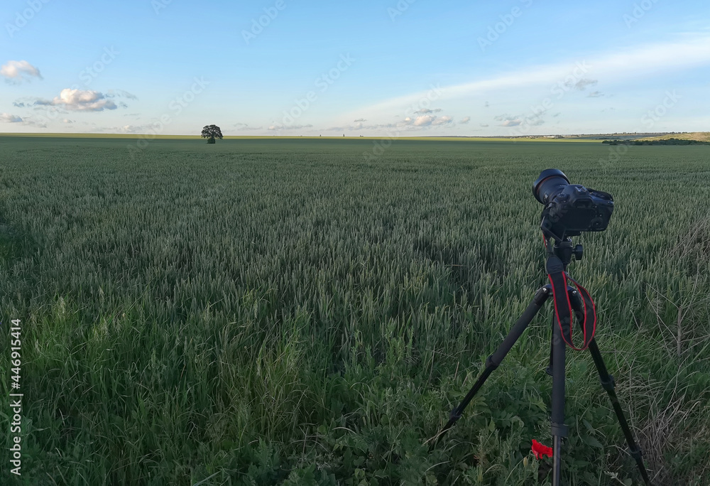 A camera with a lens on a tripod, ready for taking photos or videos in nature. Photographing and filming landscapes, wildlife.