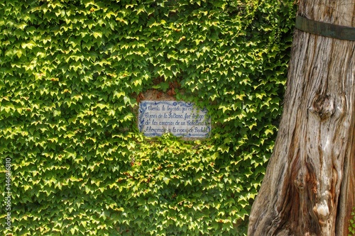 Courteyard - Monastery