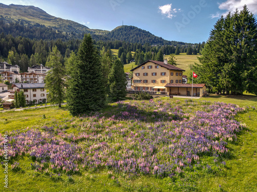 Flower garden in front of a house at Valbella on the Swiss alps