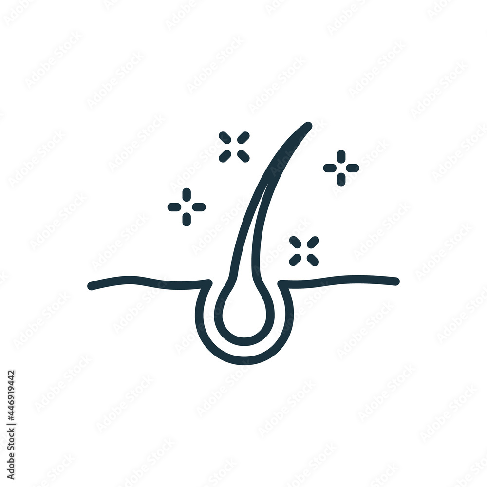 Keratin Hair Follicle