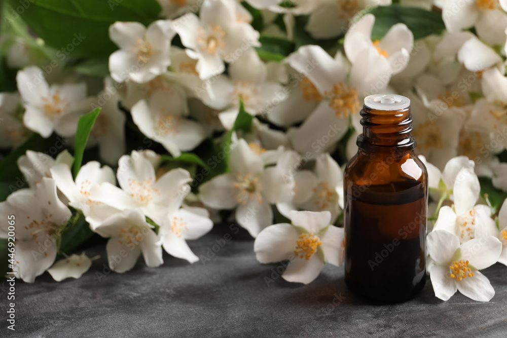 Jasmine essential oil and fresh flowers on grey table, space for text Jasmine essential oil and fresh flowers on grey table, space for text