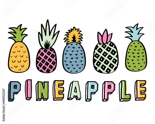 Colorful Pineapple Tropical Design Elements