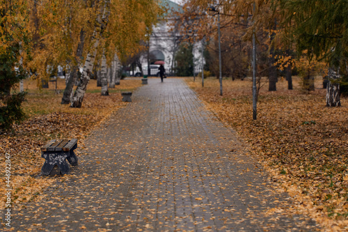 Alley in autumn park with yellow and orange autumn trees. A woman with an umbrella walks along the autumn alley.