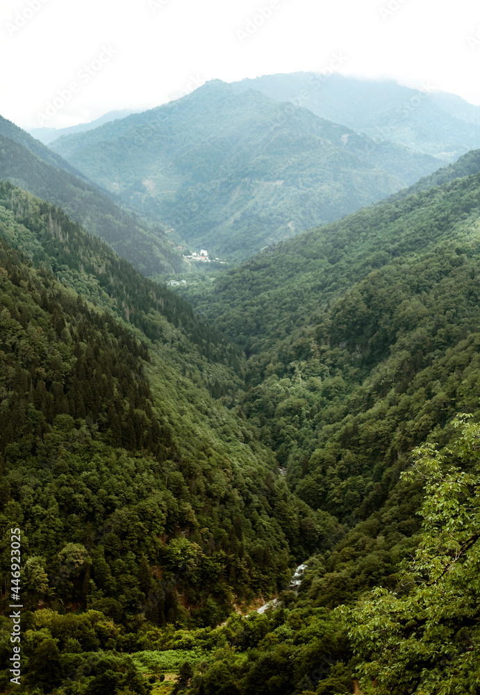 Mountain landscape in the afternoon. Nature.
