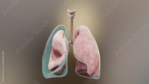 Obraz na płótnie 3d Illustration of Pneumothorax, Normal lung versus collapsed, symptoms of pneum