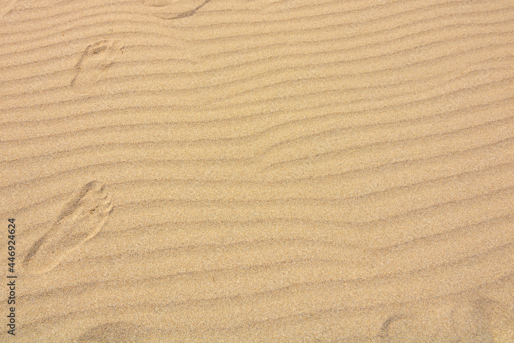 Footprints on the wavy sand in a beach. Freedom and vacation theme. Footprints on the wavy sand in a beach. Freedom and vacation theme.