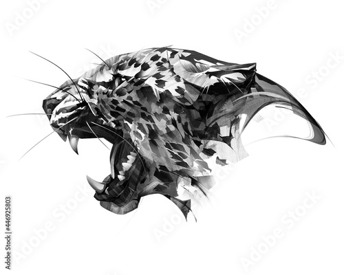 drawn portrait muzzle animal leopard on white background