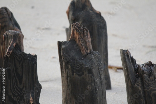 Buhne am Nordseestrand