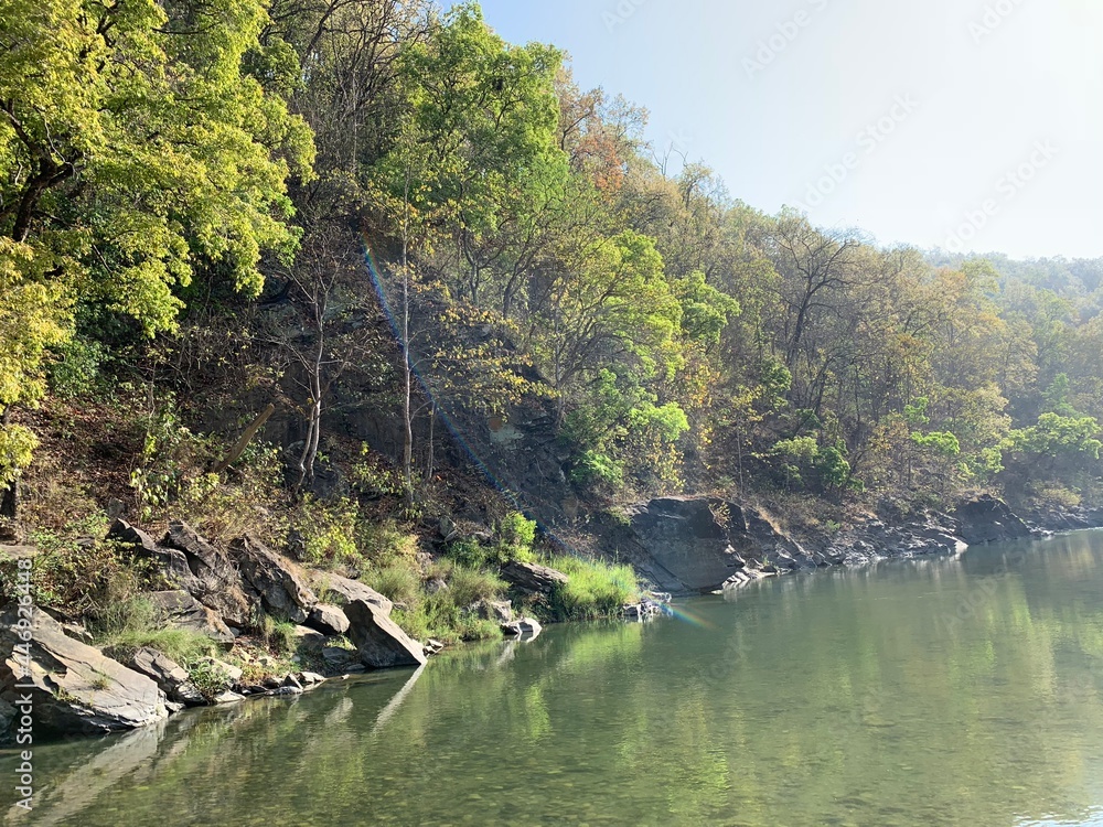 Obraz premium river in the forest