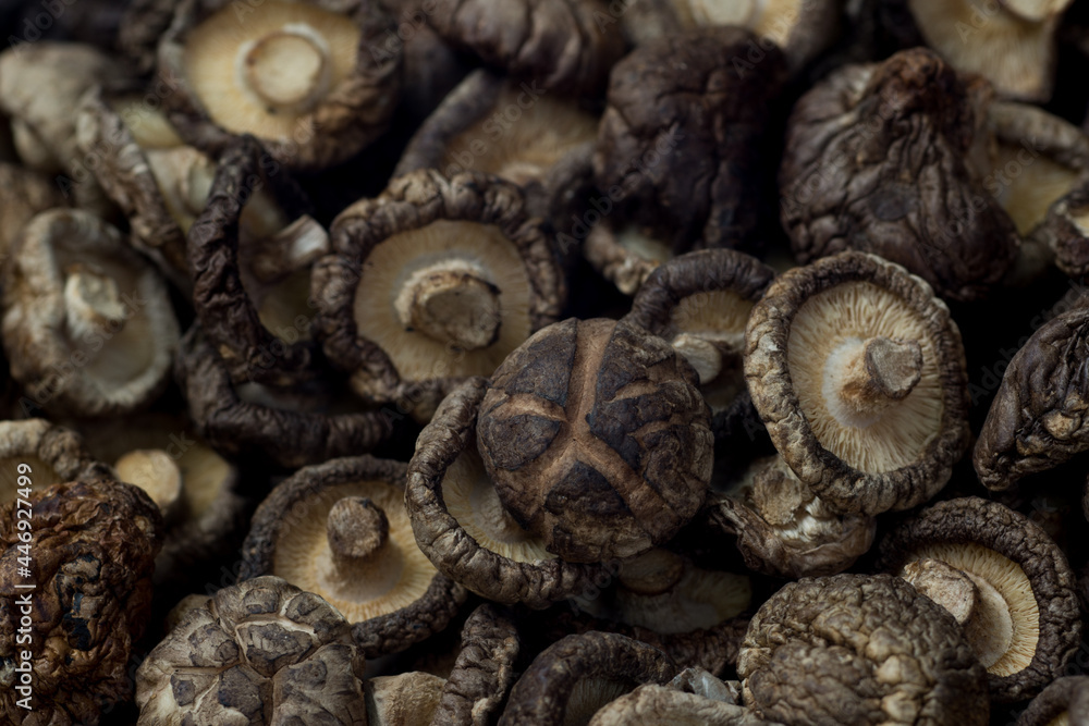 heap of dried shiitske mushrooms heap of dried shiitske mushrooms