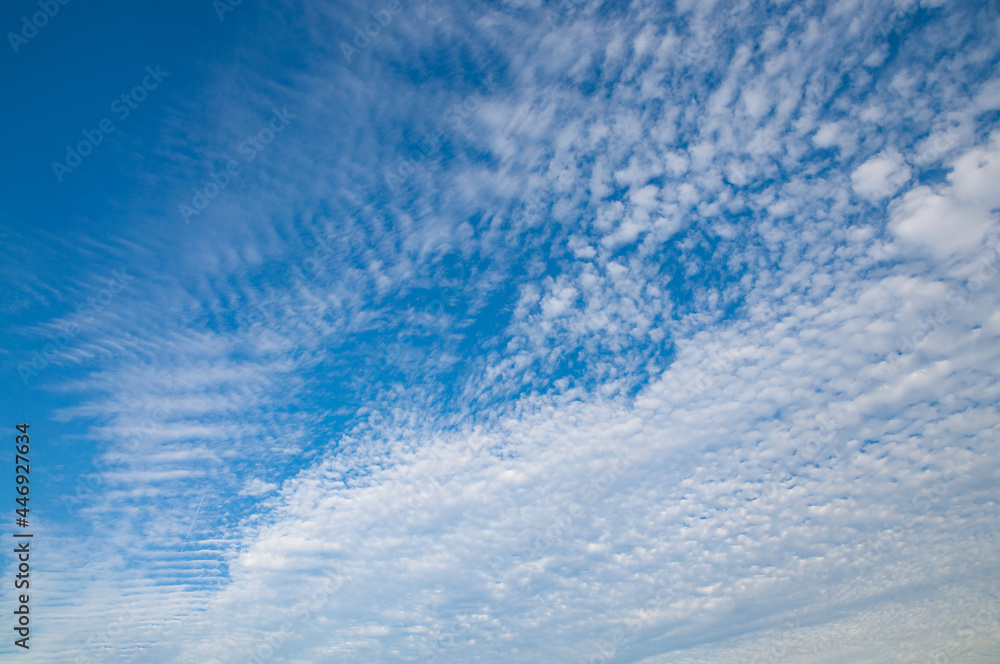 青空に広がるひつじ雲 高積雲 クラウドスケープ 日本