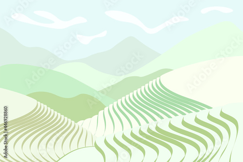 Rice field poster. Chinese agricultural terraces in mountains landscape. Foggy rural farmland scenery with green paddy. Terraced farmer cultivation plantation. Asian agriculture horizontal background