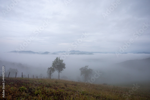 The misty mountain range in the morning is very beautiful. Gives a cool and refreshing feeling hill tribe cultivation area Background image and space for text