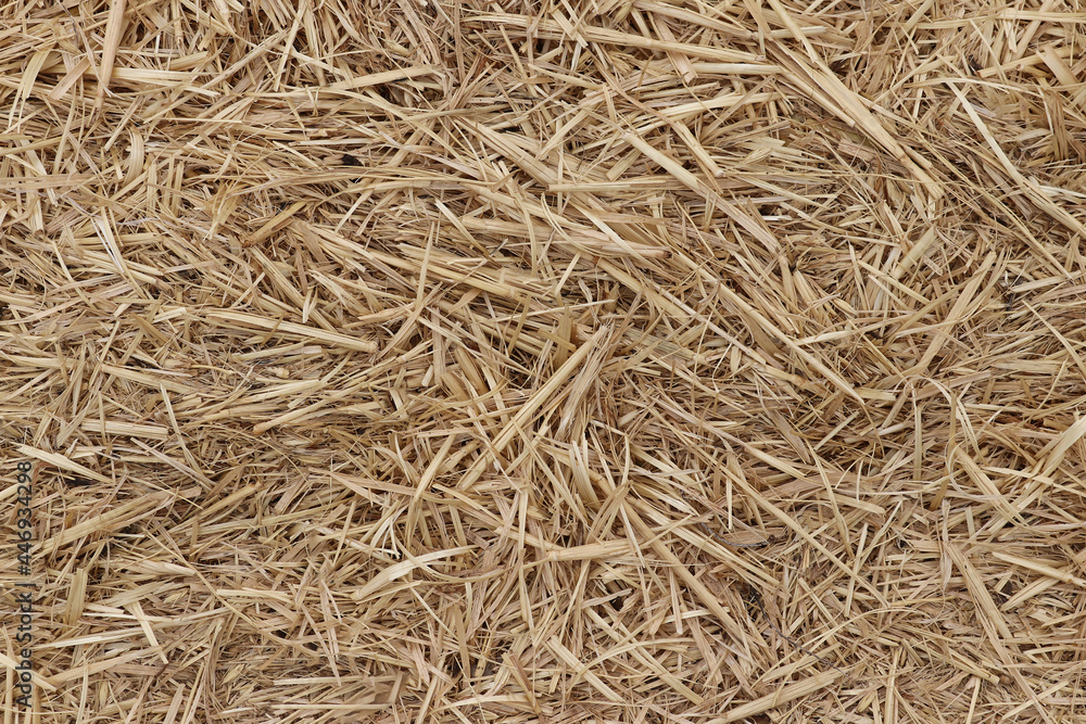 dry hay bale straw cover background dry hay bale straw cover background