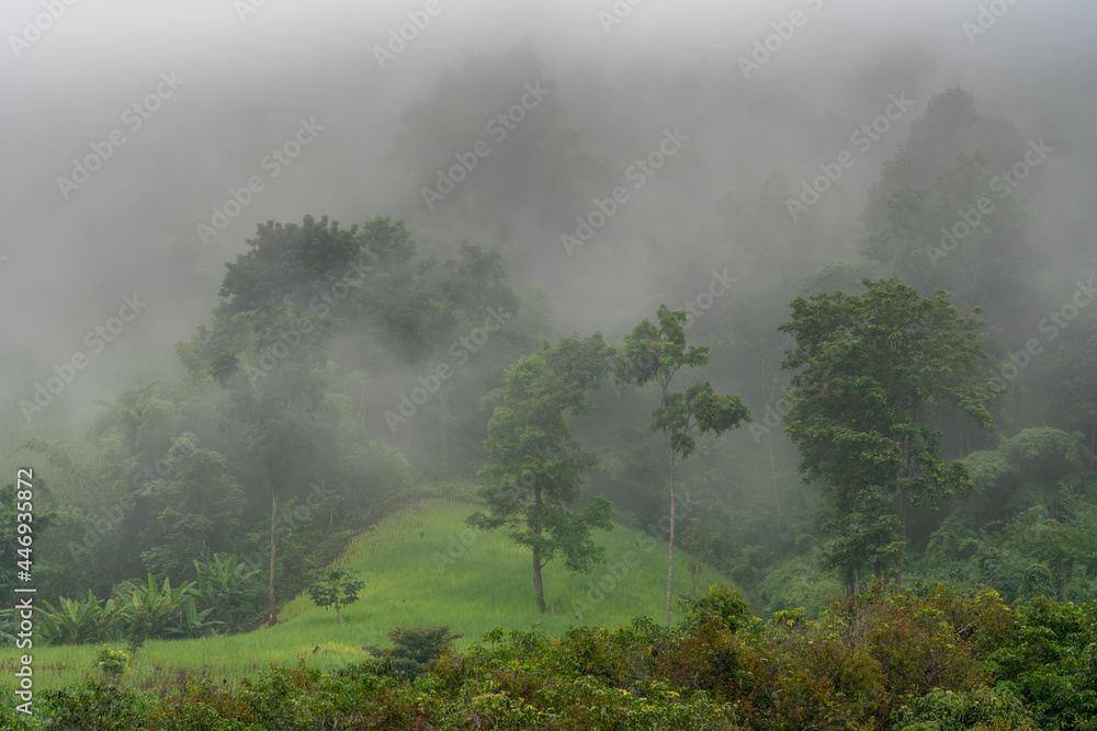 Scenic tropical mountain landscape with fog on forest during monsoon season, Chiang Dao, Chiang Mai, Thailand Scenic tropical mountain landscape with fog on forest during monsoon season, Chiang Dao, Chiang Mai, Thailand
