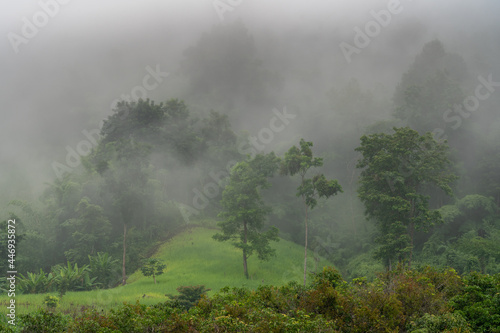 Scenic tropical mountain landscape with fog on forest during monsoon season, Chiang Dao, Chiang Mai, Thailand