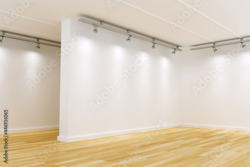 Art Gallery / Blank walls Art gallery Mocku up