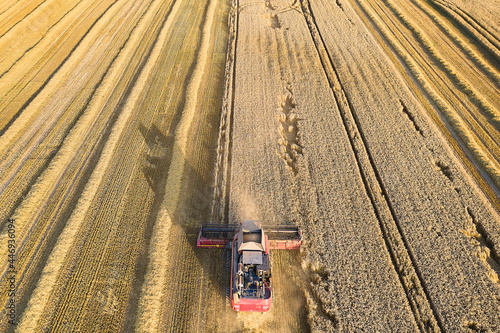 Harvesting with agricultural machinery. A modern combine harvester with a header threshes ripe wheat grains