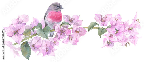 The bird sitting on the blooming branch. Hand painted watercolor illustration.