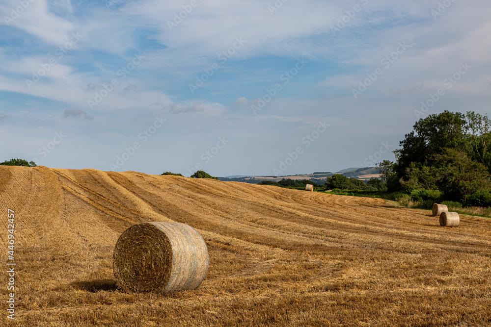 A Rural Sussex Scene with Hay Bales in a Field