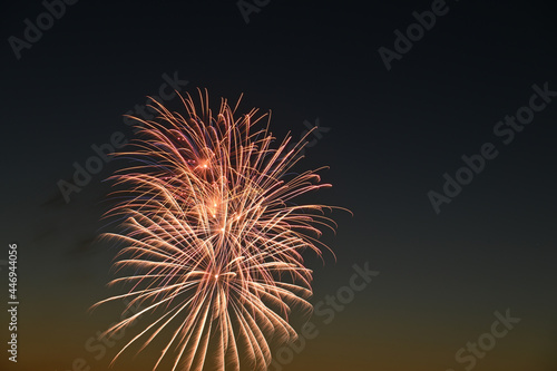 fireworks celebration in the night sky