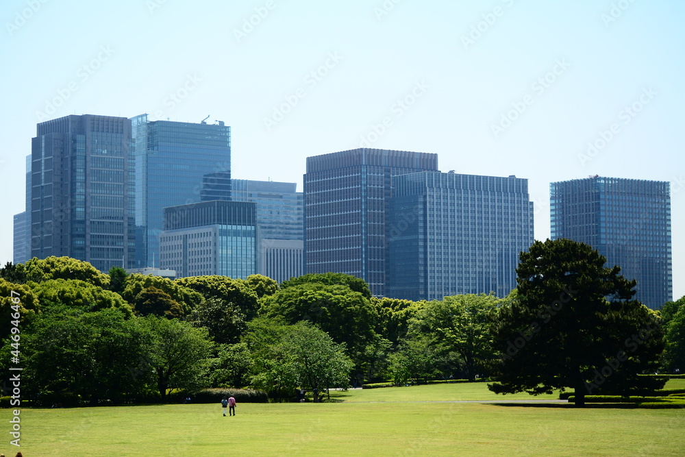 Fototapeta premium Tokyo Imperial Palace (east gardens) skyline