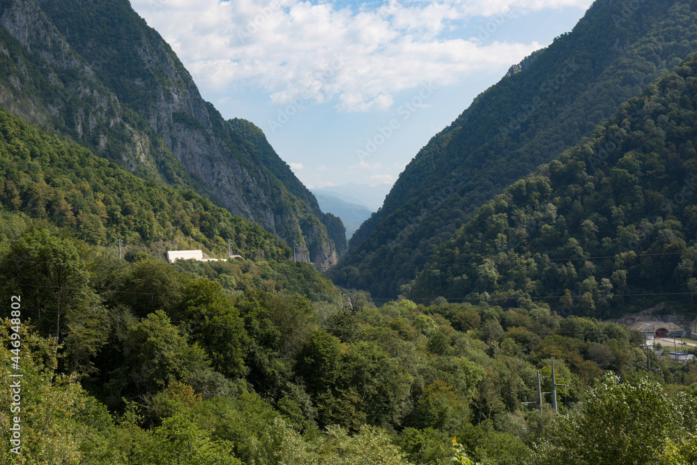 A deep gorge covered with forest in the vicinity of the city of Sochi in summer