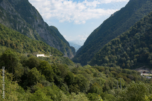 A deep gorge covered with forest in the vicinity of the city of Sochi in summer