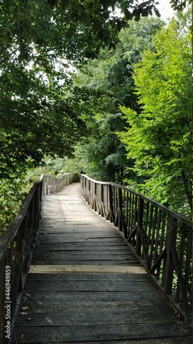 bridge square in the forest