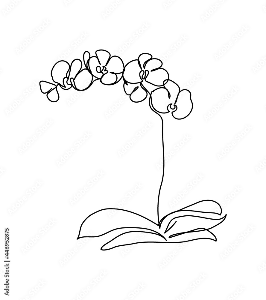 Orchid, phalaenopsis flower one line art. Continuous line drawing of plants, herb, flower, blossom, nature, flora, tropical flowers. - obrazy, fototapety, plakaty 