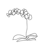 Orchid, phalaenopsis flower one line art. Continuous line drawing of plants, herb, flower, blossom, nature, flora, tropical flowers.